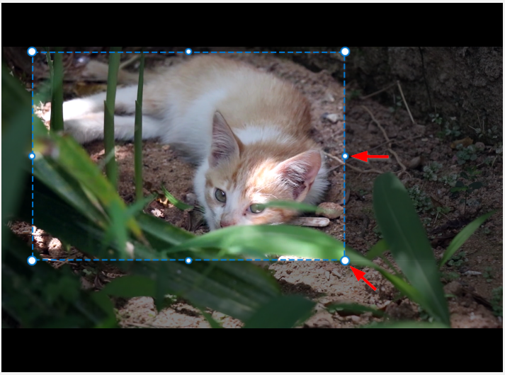 Crop overlay with handles